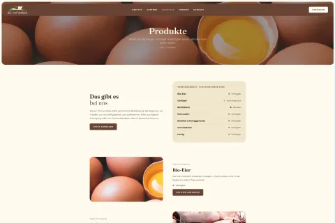 Screenshot der Produktseite Eiernudeln