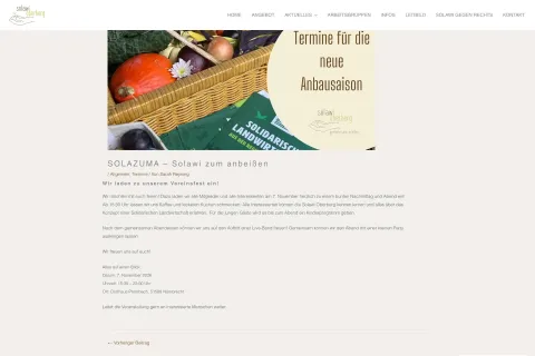 Screenshot eines einzelnen Blog-Beitrags